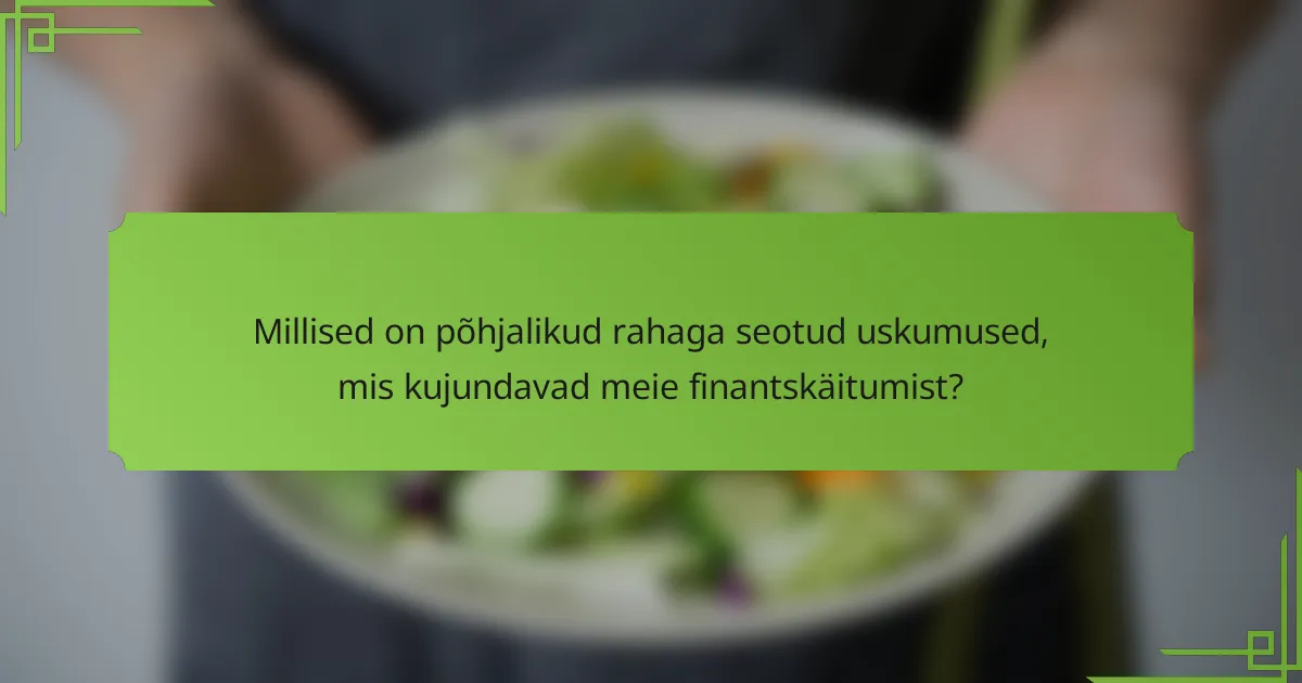 Millised on põhjalikud rahaga seotud uskumused, mis kujundavad meie finantskäitumist?