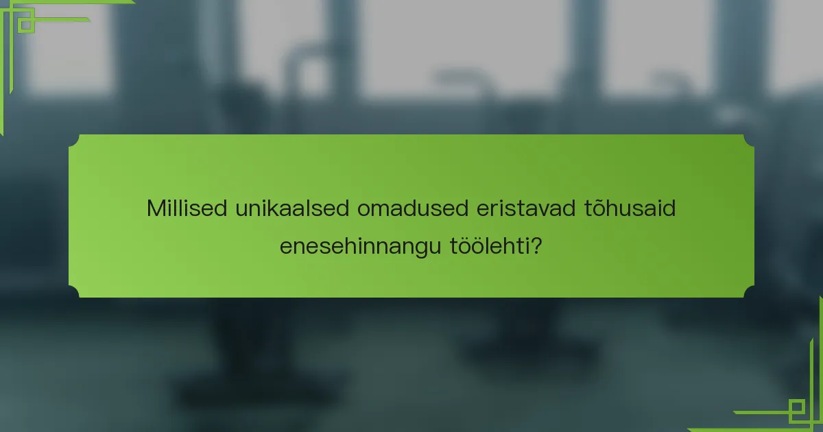 Millised unikaalsed omadused eristavad tõhusaid enesehinnangu töölehti?